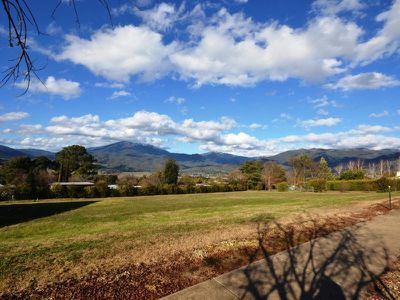 Lot 27, Fiddleback Drive, Tawonga South