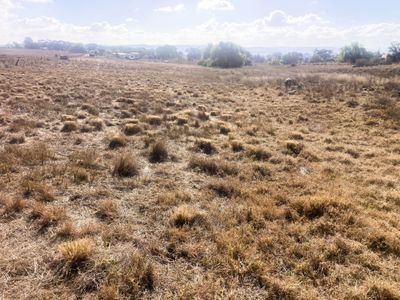 109 Prices Lane, Merriwa