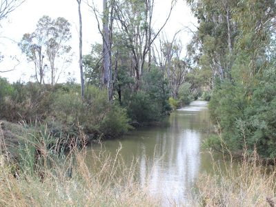 78 Murray Street, Barham