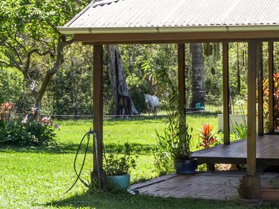 257 Creegans Road, Barkers Vale