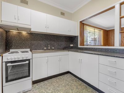 19 Patricia Street, Colyton