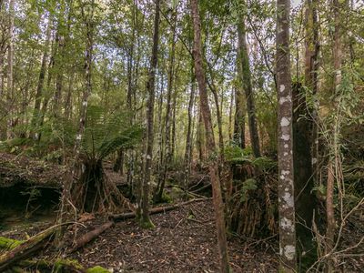 Ra Brittains Road, Garden Island Creek