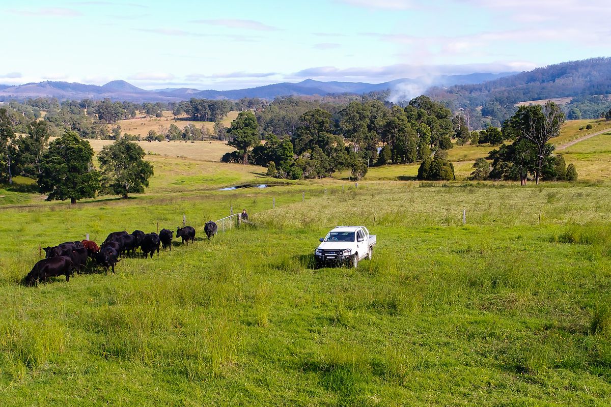 236a Khatabundah Road, Wingham