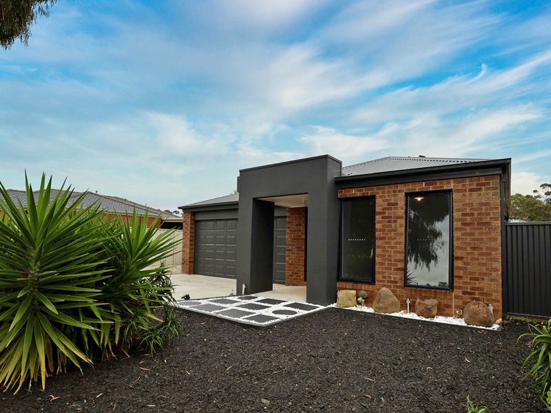 Real Estate Agent Bendigo Property Plus Real Estate