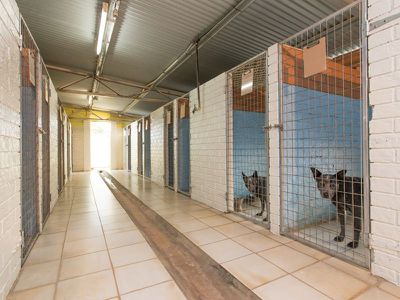 205 Gainsborough Road, Narromine