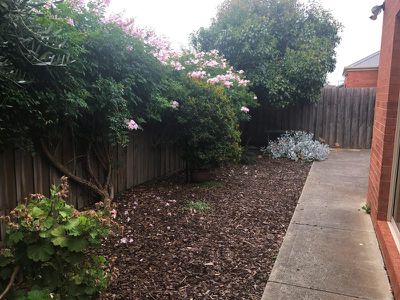 22 Trigg Street, Geelong West