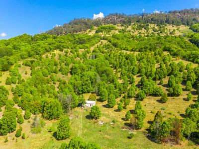 551 Left Bank Rd, Mullumbimby