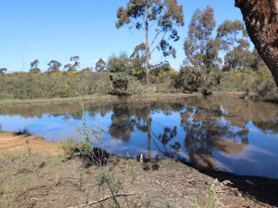 LOT 5  LOT 5  Tait Hamilton Road, Cornella
