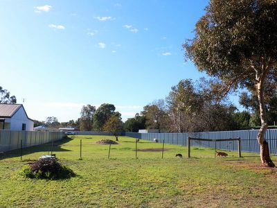 14 Mutton Street, Avenel