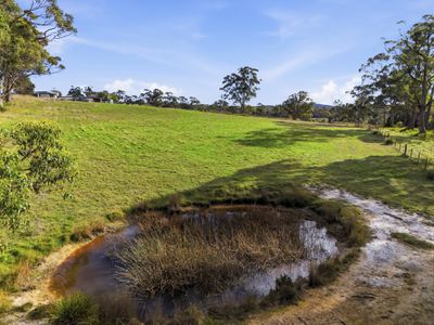 112 Back Creek Road, Pipers River