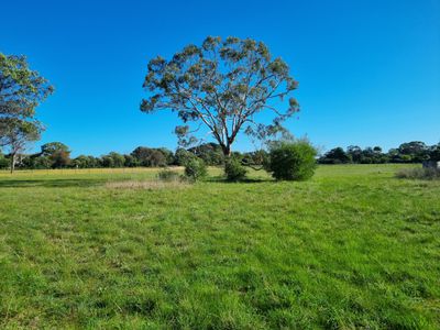 Lot 5, Boandik Drive, Millicent