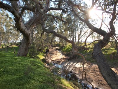 Lot 8A, B & C, Sloans Road, Powlett Plains