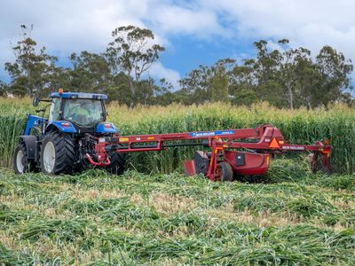 Lot Plain View Aggregation, 916 Emmaville Road, Glen Innes