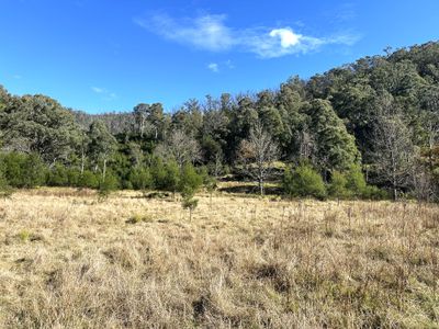 Lot 4 Araluen Road, Araluen