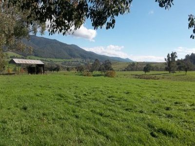 31 Reids Lane, Tawonga