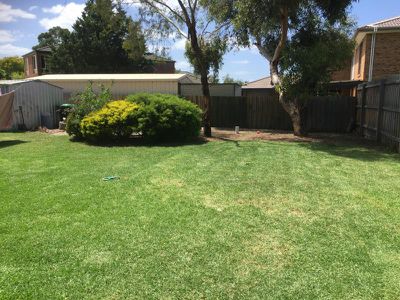 38 Dowling Avenue, Hoppers Crossing