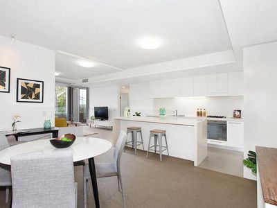 305 / 53 Palmer Street, Cammeray