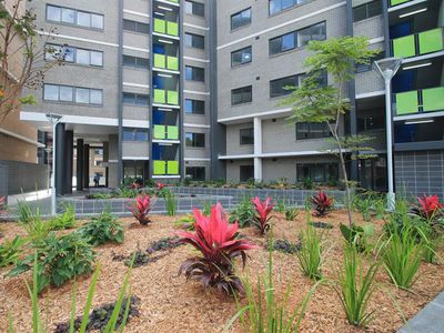 29 / 45 Bonar Street, Arncliffe