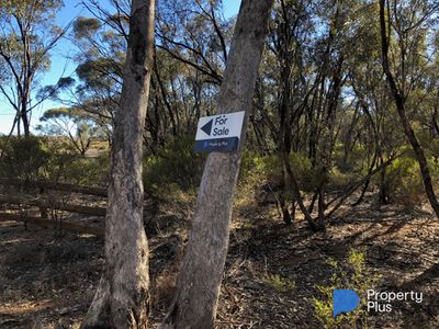 60D Mt. Kerang Road, Buckrabanyule