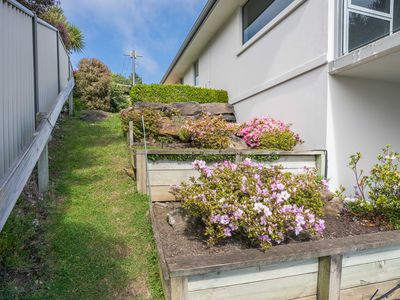 60 Connell Street, Waverley