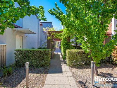 3 / 17 Majura Avenue, Dickson