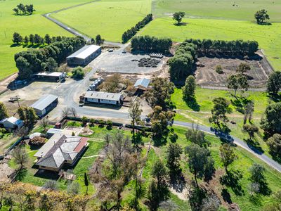 'Pastoria Park' 205 Balldale Road, Hopefield