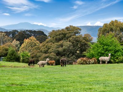 1032 Old Tolmie Road, Barwite