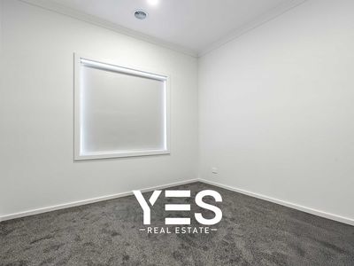 33 Bromeliad Street, Clyde North