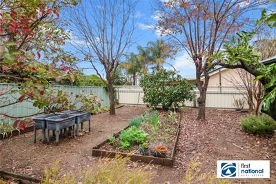 32 Southview Street, Tamworth