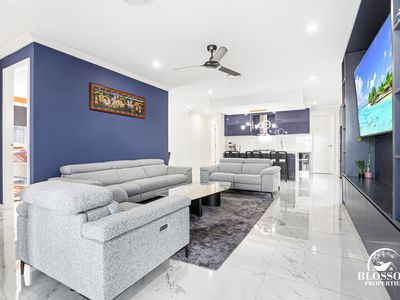 53 Ribbonwood Crescent, Marsden Park