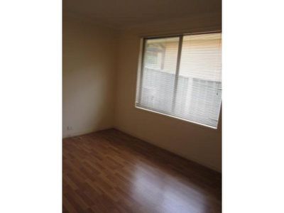 Mount Warrigal