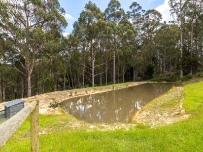 1775 Pelverata Road, Upper Woodstock