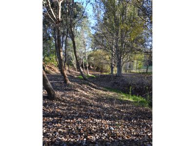 Lot 11, Fiddleback Drive, Tawonga South