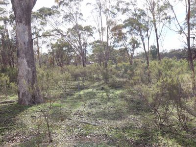 CA 68  CA 68  Twin Rivers Road, Eppalock