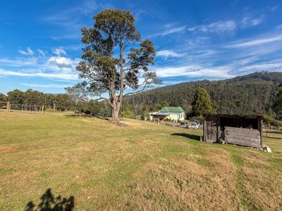 352 Judds Creek Road, Judbury