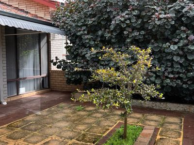 2/215 Royal Street, Yokine