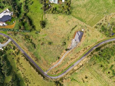 25 Kakapo Street, Saint Leonards