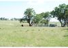 655 Stapletons Road, Molong