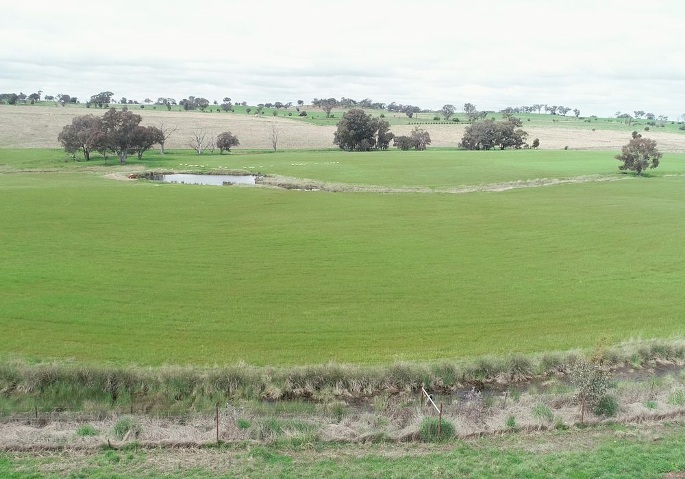 823 Peabody Road, Molong
