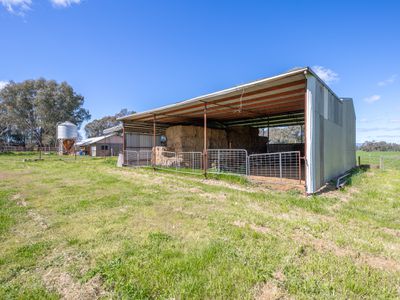 Lot 2, 56 Baileys Lane, Whorouly