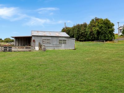 15 Sinclair Avenue, Nightcaps