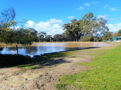 225 Hall Lane, Seymour