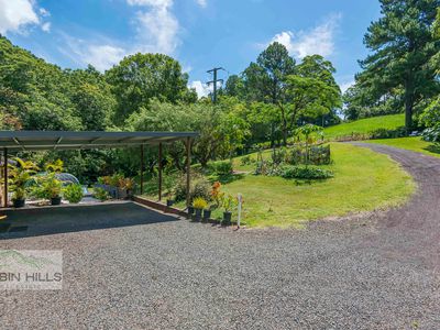 1148 Tuntable Creek Road, Nimbin