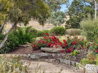 866 Coliban Park Road, Redesdale
