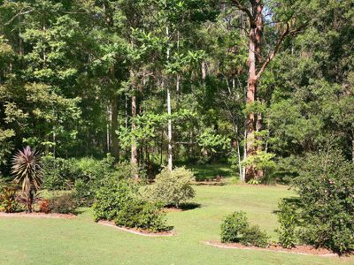 11 Tea Tree Lane, Tinbeerwah