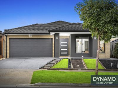 4 Vestige Street, Donnybrook