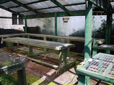 11 Grigg Tce , Millicent