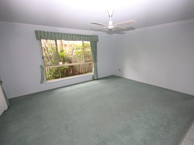 28 Ibis Boulevard, Eli Waters