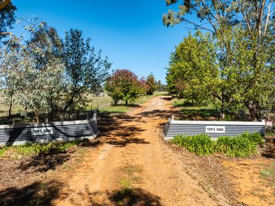 823 Woomargama Way, Woomargama