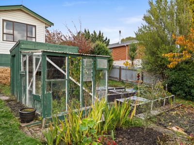 5 Stronsa Street, Palmerston